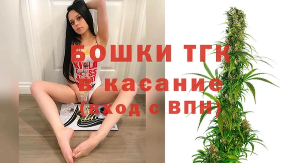 гидра Алексин