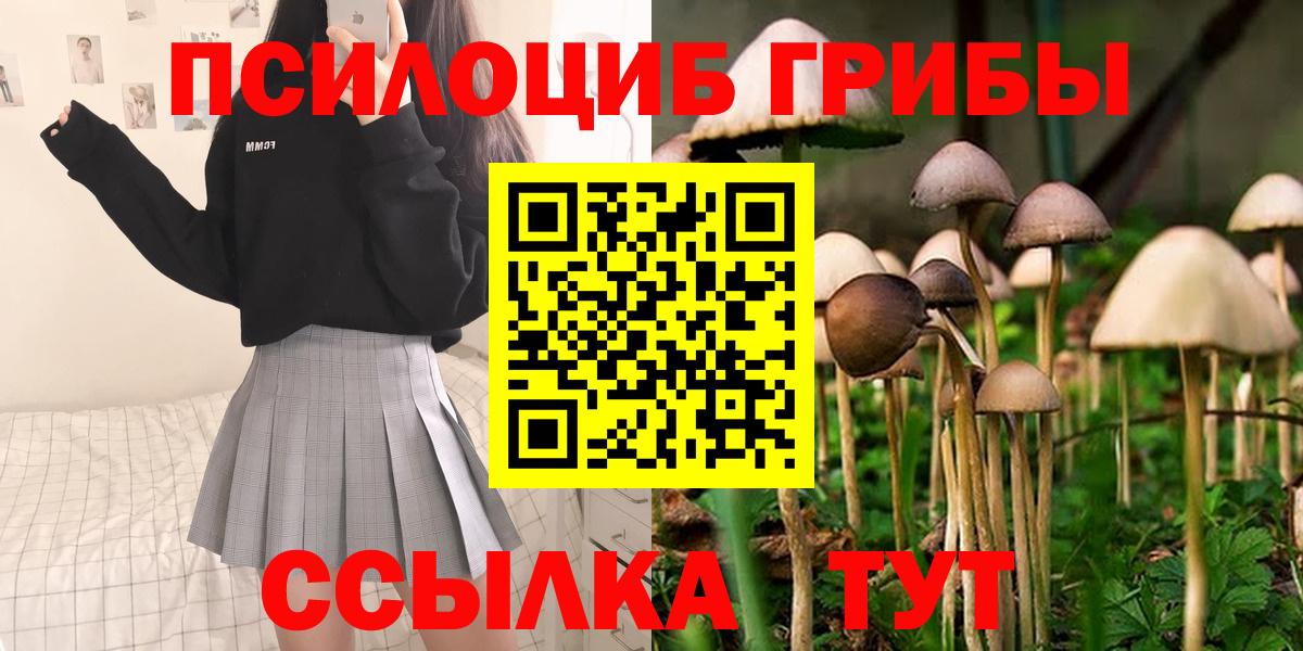 Донской  Псилоцибиновые грибы мицелий  Псилоцибиновые грибы Psilocybine cubensis  Вход с VPN 